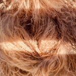 ÚJ Bézs Szőrme sál